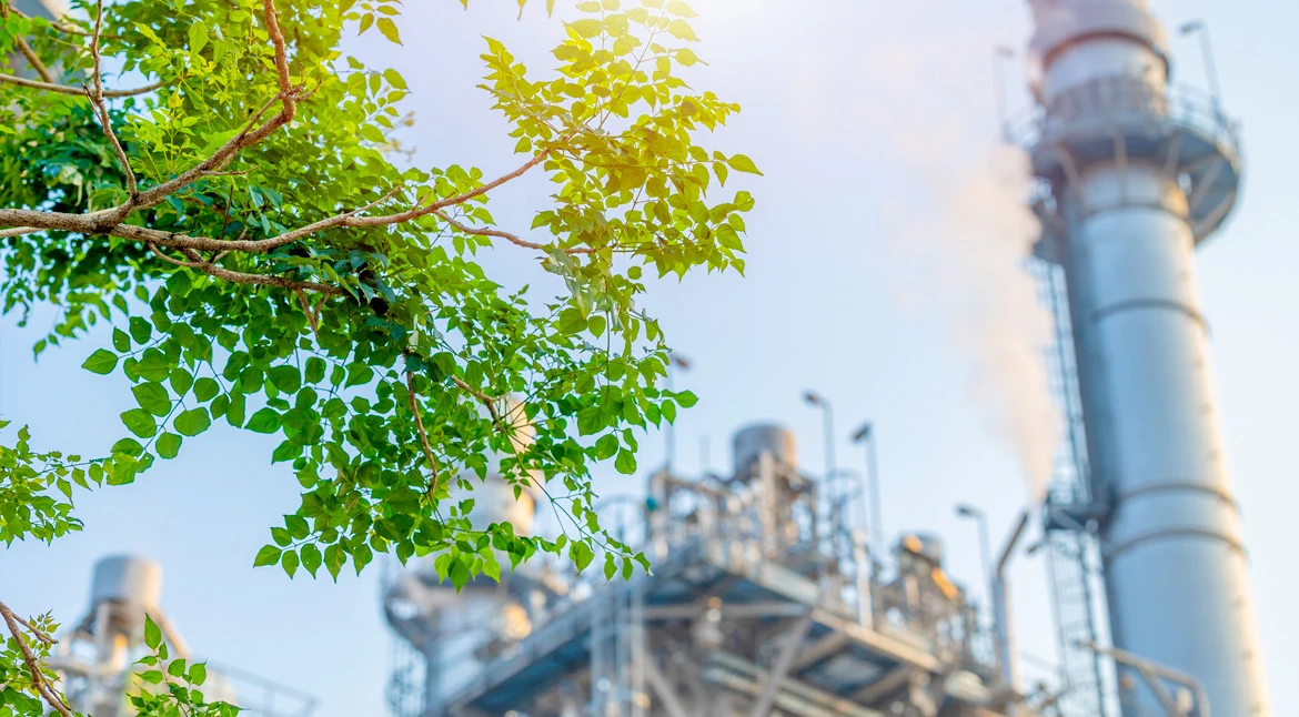 Planta industrial integrada con vegetación