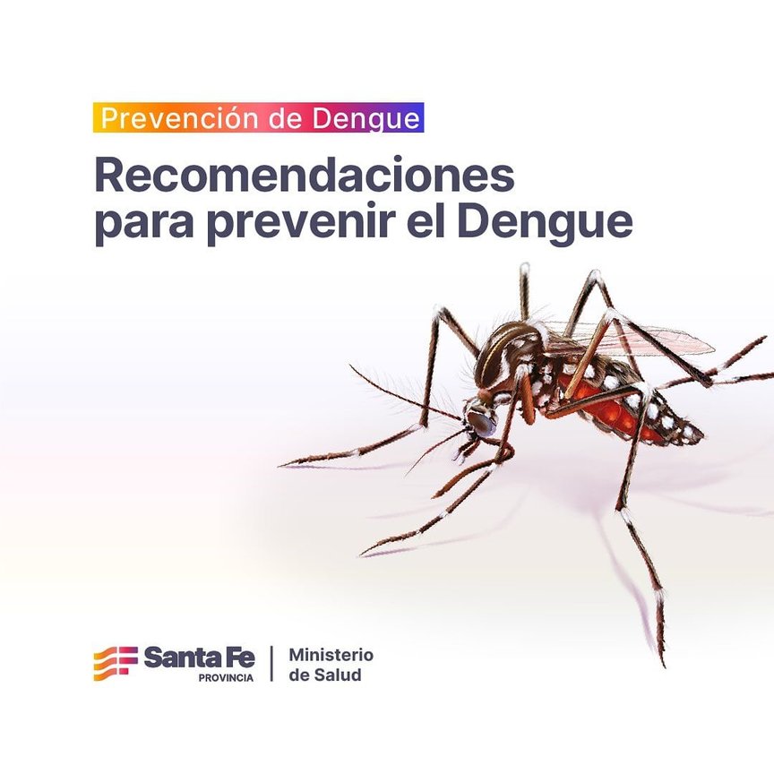 ALERTA DENGUE: recomendaciones para nuestras empresas